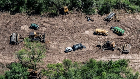 Alerta por la degradación de tierras en Argentina: un problema de escala nacional