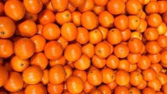 Argentina y Japón acordaron mejoras clave para facilitar la exportación de cítricos