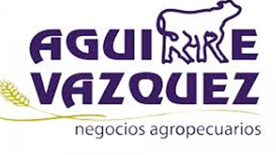 Aguirre Vazquez SA