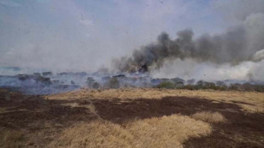 Se reunió nuevamente el Comité de Emergencia Ambiental por los incendios en el delta del Paraná