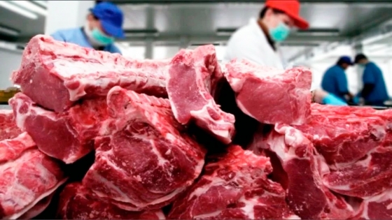 Las exportaciones de carne vacuna del Mercosur