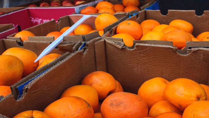 Caída de la producción, consumo y comercio mundial de naranjas