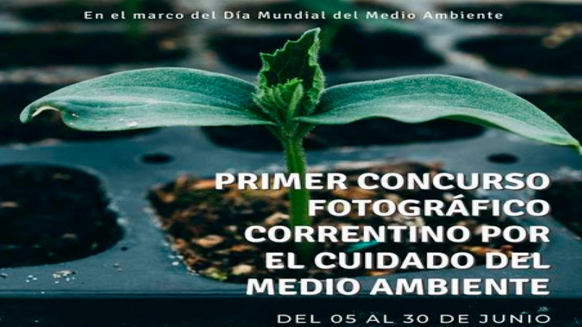 Se realiza el 1° concurso fotográfico por el cuidado del medio ambiente