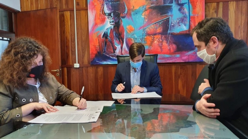 Jóvenes abogados podrán realizar pasantías en producción
