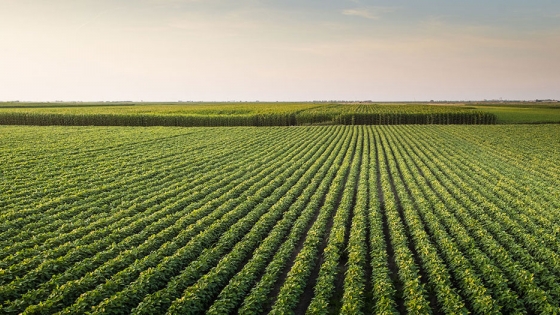 La agricultura digital puede impulsar la industria en $ 20,3 mil millones cada año