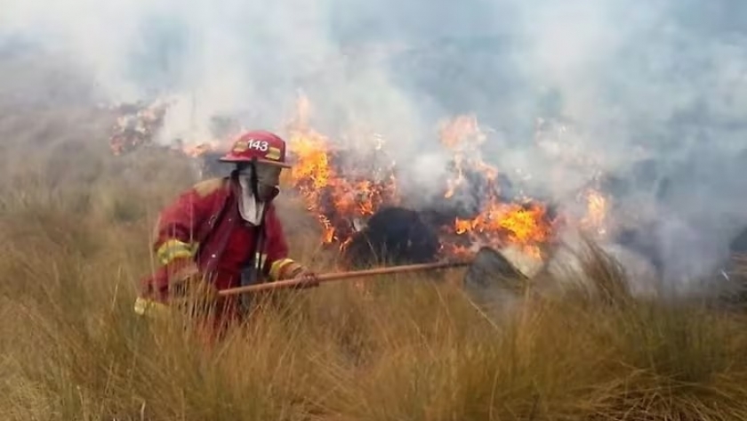 La acción ambiental debe permanecer y fortalecerse