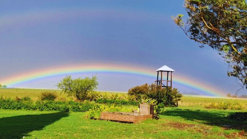 Tres experiencias para descubrir el encanto de las actividades rurales