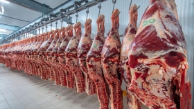 Actualizan valores de referencia para exportación de carne bovina