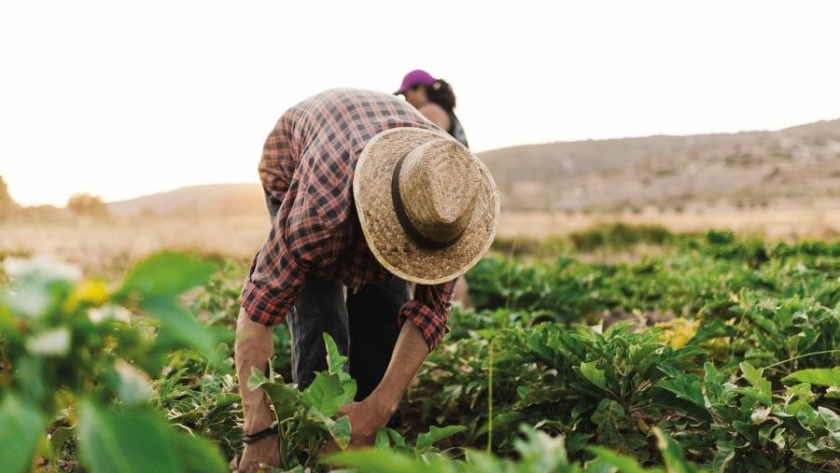 Desafíos y oportunidades del sector agropecuario en América Latina y el Caribe