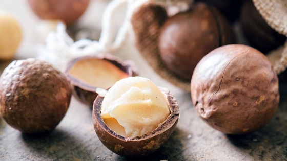 Nuez de macadamia: el fruto seco más caro del mundo por su cultivo y procesamiento complejo