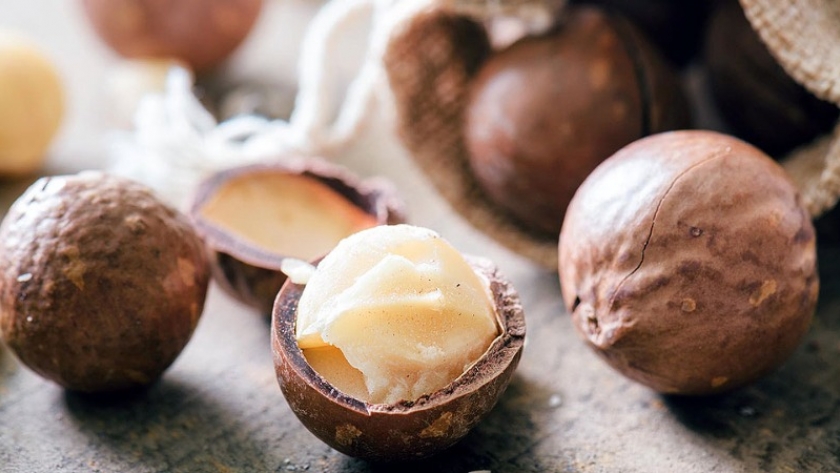 Nuez de macadamia: el fruto seco más caro del mundo por su cultivo y procesamiento complejo