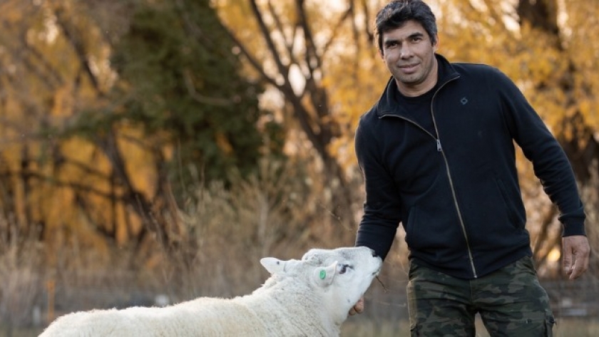 Dejó la lana, apostó al Texel y busca competir entre las mejores cabañas
