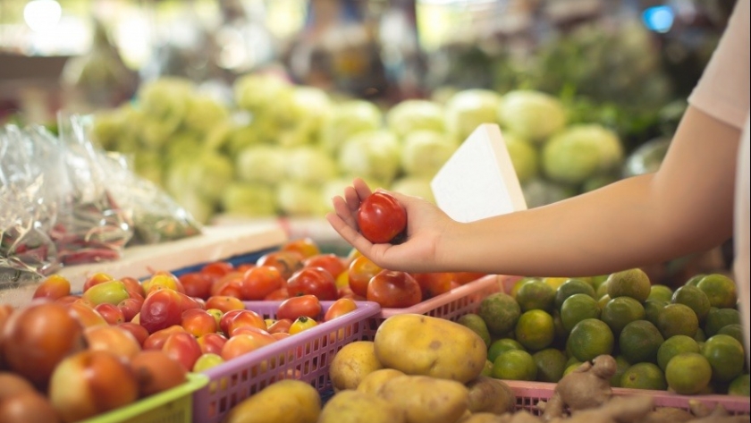 Línea de financiamiento para mercados mayoristas frutihortícolas