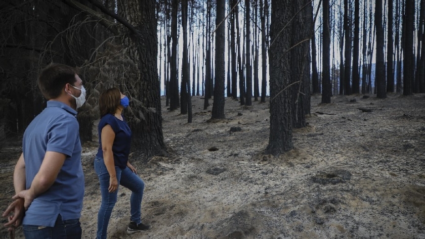 Carreras transmitió su solidaridad con los afectados por el incendio en Chubut