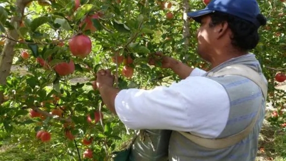 INTA: ¿cuáles son las capacitaciones de esta semana?