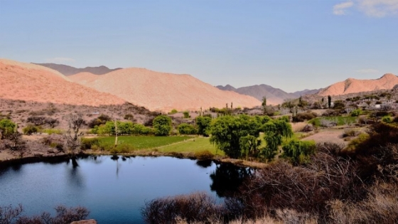 Seclantás, la joya salteña que busca conquistar al mundo con sus ponchos, sabores y paisajes