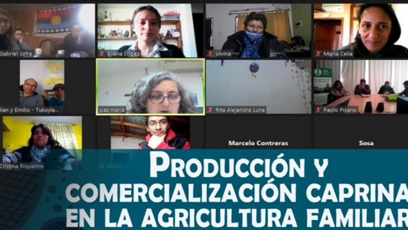 Conversatorio Online: Producción y comercialización caprina en la Agricultura Familiar