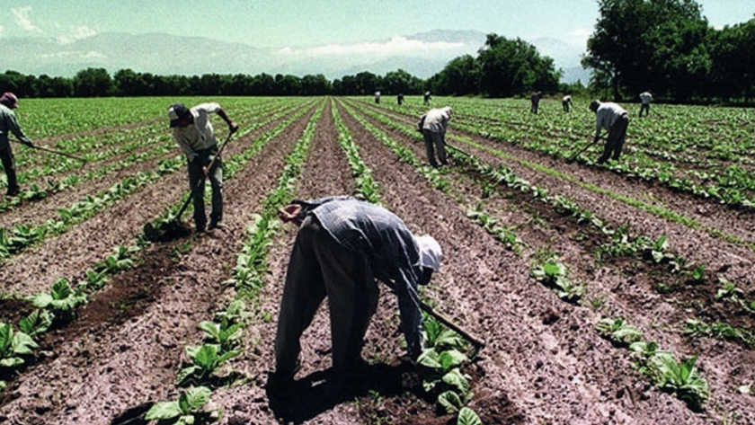 Prorrogan el plan de facilidades de pago para las contribuciones del empleador rural