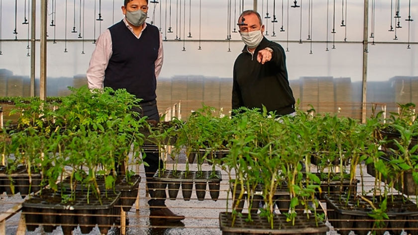 Biofábrica y el IFAI acuerdan trabajo conjunto para la producción de alimentos