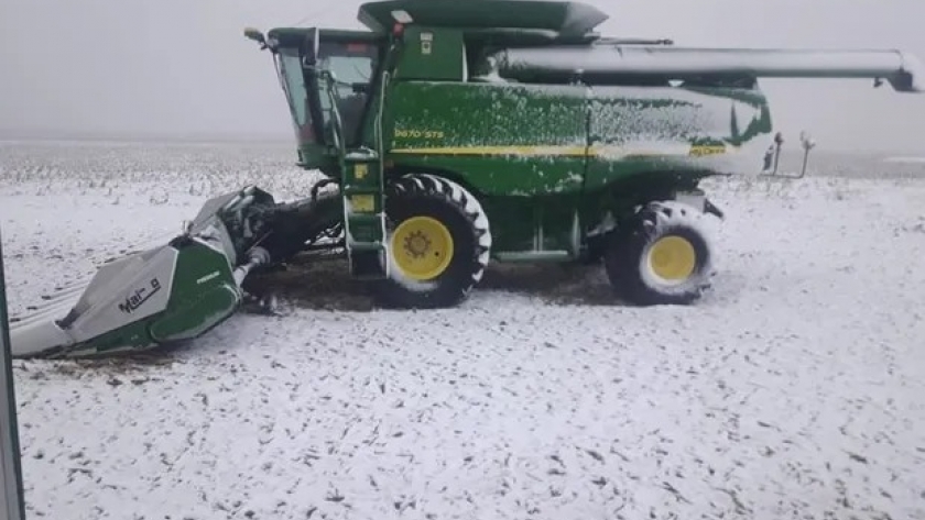 Maíz: imágenes de la nevada histórica que frena la cosecha
