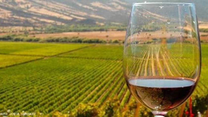 Se duplicó la cantidad de bodegas en el marco del plan oficial para fomentar el «turismo del vino»
