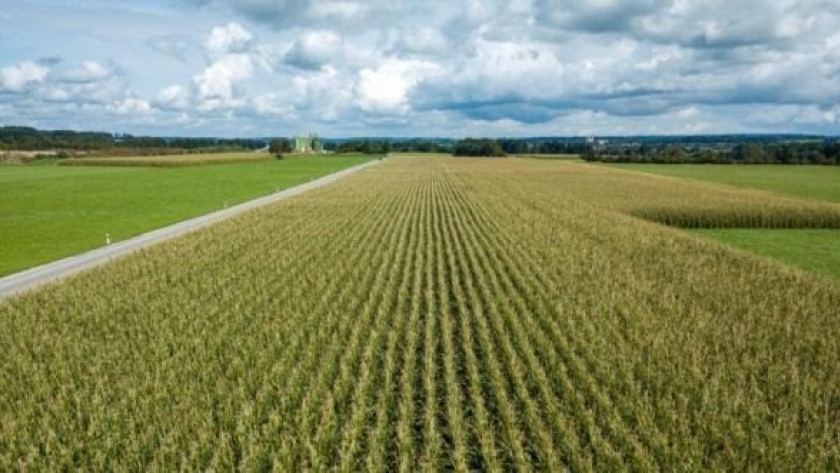 Anticipan una primavera con menos lluvias y más calor