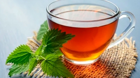 Beneficios del té de flor de calabaza