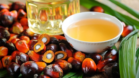 <Existencias de aceite de palma de Malasia alcanzan máximo en 8 meses en mayo