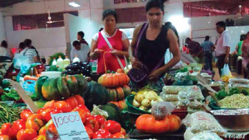 Agroecología en Paraguay. Experiencia de la Central de Productores Hortigranjeros 