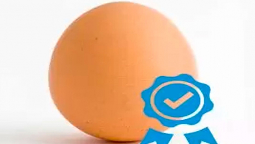Determinación de la calidad de la cáscara en los huevos incubables