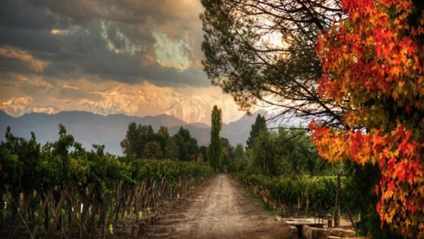 Kaikén Wines from Argentina: vinos de excelencia que expresan las características de nuestra tierra