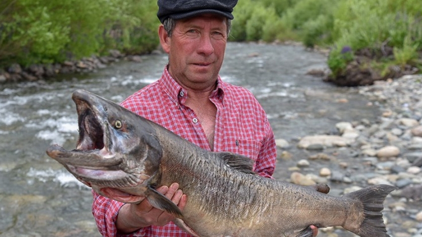 La temporada de pesca del salmón del Pacífico arrancará el 1 de noviembre