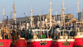 Habilitan la pesca del calamar al norte a partir del 1 de abril