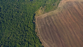 La Unión Europea pospone un año la normativa sobre deforestación: reacciones del sector agroindustrial argentino