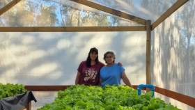 De la sequía al negocio: crean cultivos hidropónicos y suman valor