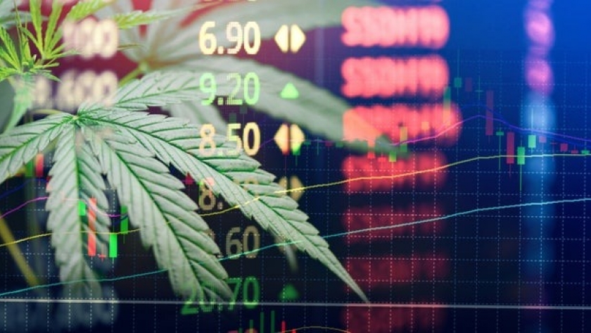 Inversiones en empresas de cannabis: Lo que tienes que saber para este 2021