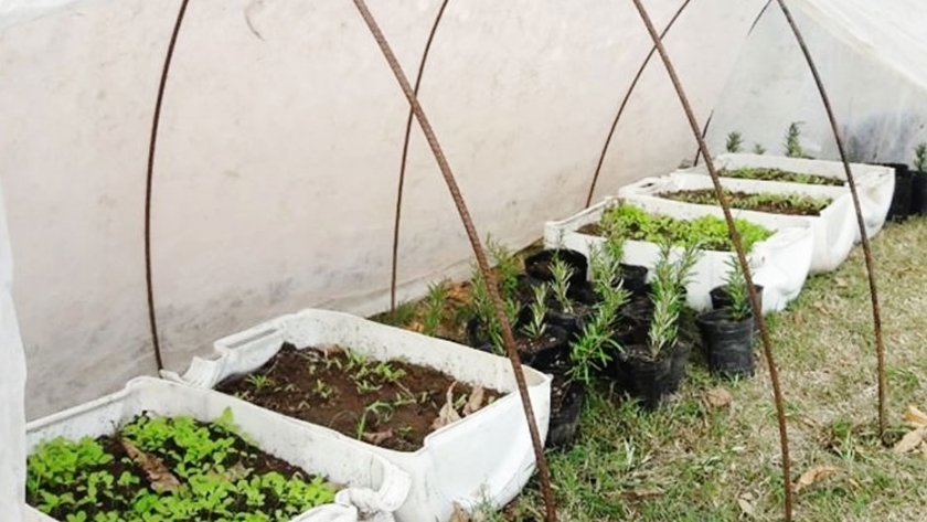 La Huerta Agroecológica en tiempos de pandemia, como revalorización de lo comunitario