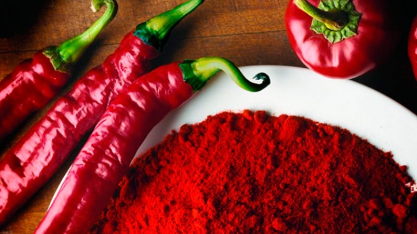 Modernizan prácticas en el cultivo de pimiento para pimentón