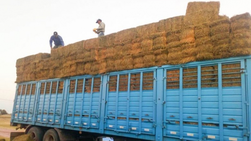 Crisis hídrica: el gobierno garantiza la asistencia alimentaria para rodeos de productores afectados