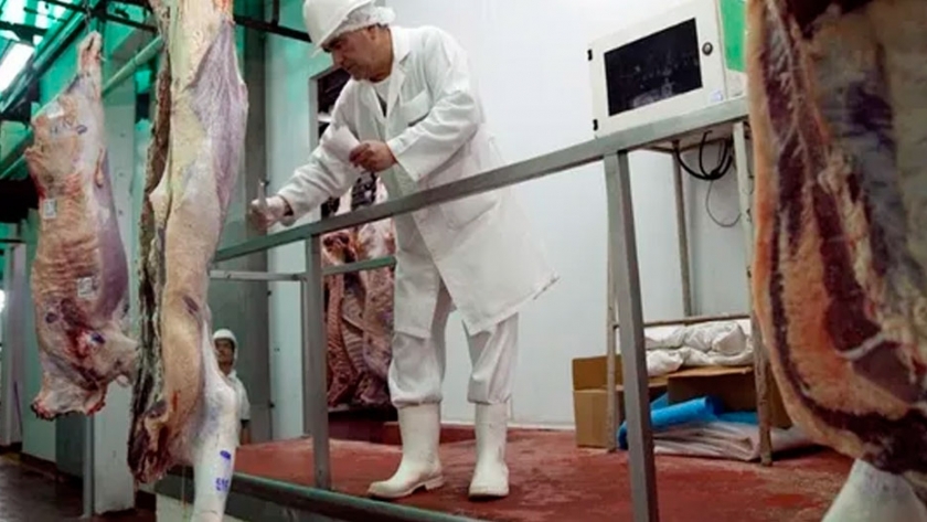 Carne: frigoríficos advierten que cualquier intervención en el mercado provocará efectos distorsivos