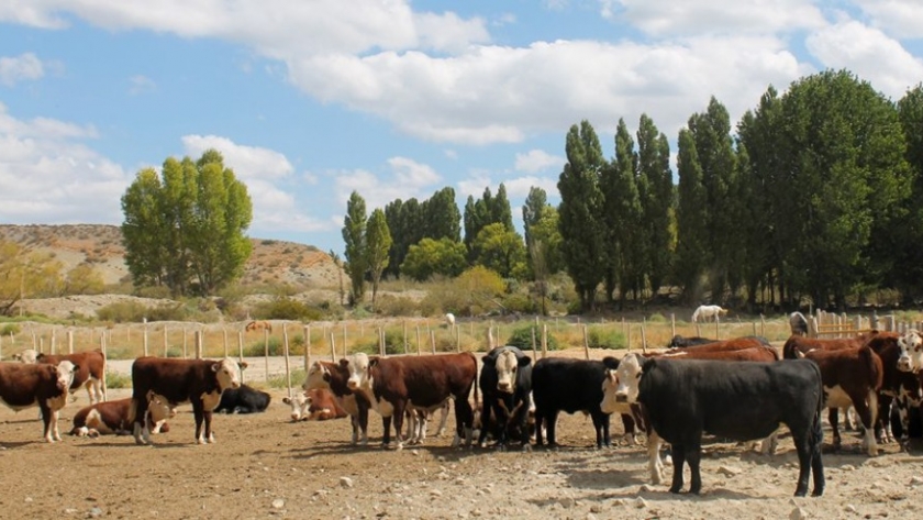 El programa GIRSAR fortalece el sistema agroindustrial de la provincia