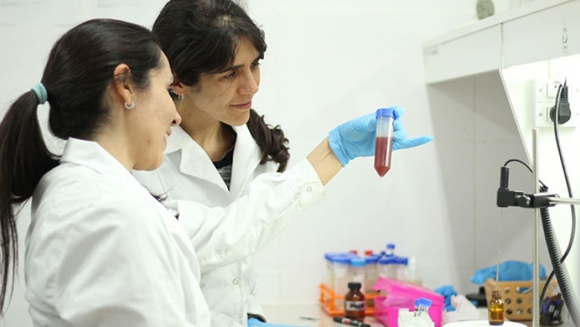 La agroindustria, aliada en la prevención del cáncer de mama y de próstata