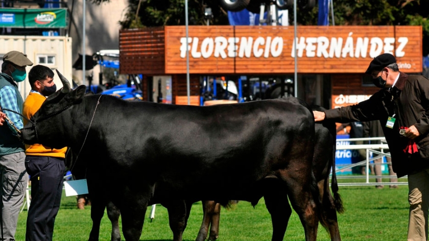 Wagyu mostró su crecimiento