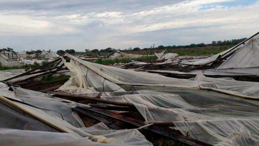 Emergencia hortícola: recepcionarán declaraciones juradas y los pequeños productores comenzarán a recibir plásticos para la reconstrucción de invernáculos