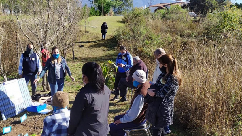 Adultos mayores del albergue del Salón de Magistrados armaron una huerta comunitaria