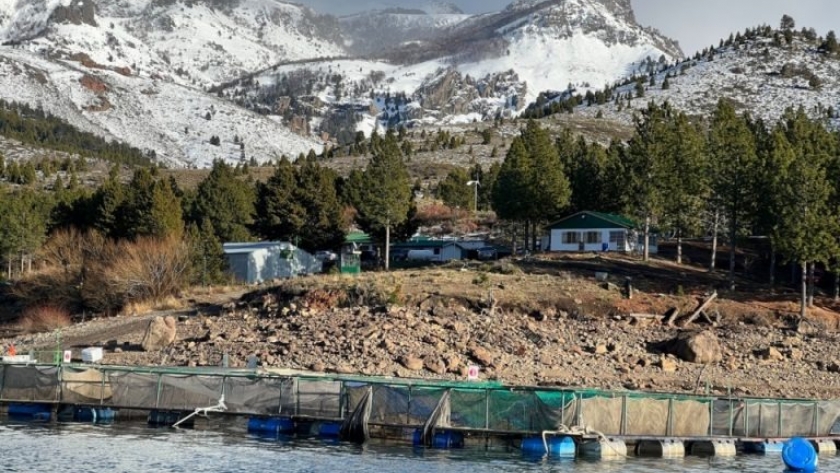 Chubut. Presentaron ante autoridades nacionales varios proyectos de acuicultura