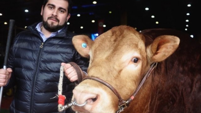 Limousin Argentina renovó sus autoridades