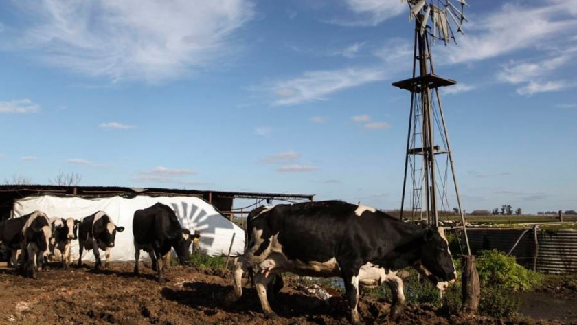 Sociedad Rural Argentina plantea opciones de inversión con impuestos agropecuarios