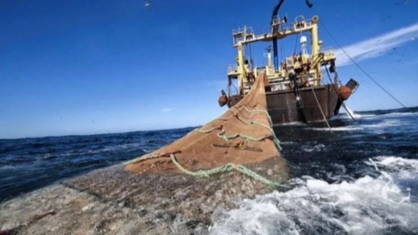 Argentina es el primer país en regular el mercado de las artes de pesca de arrastre