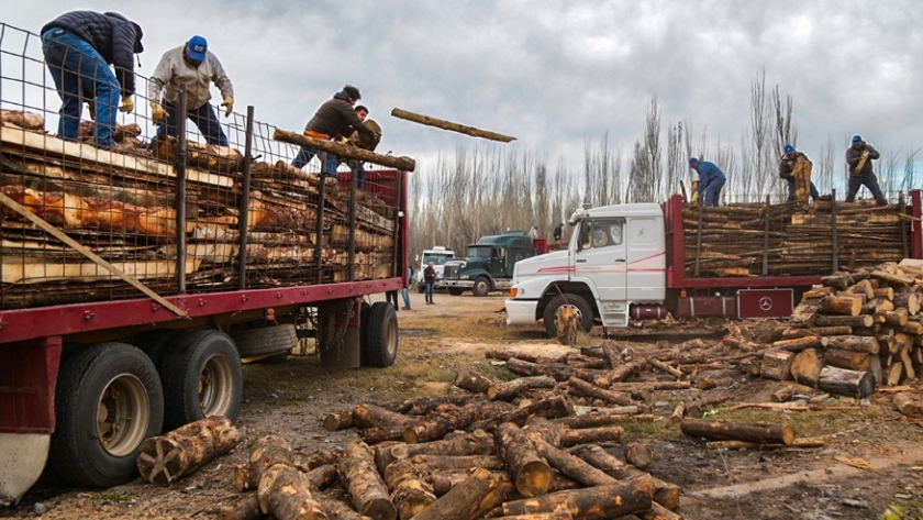 La Provincia inició el Operativo Leña 2022